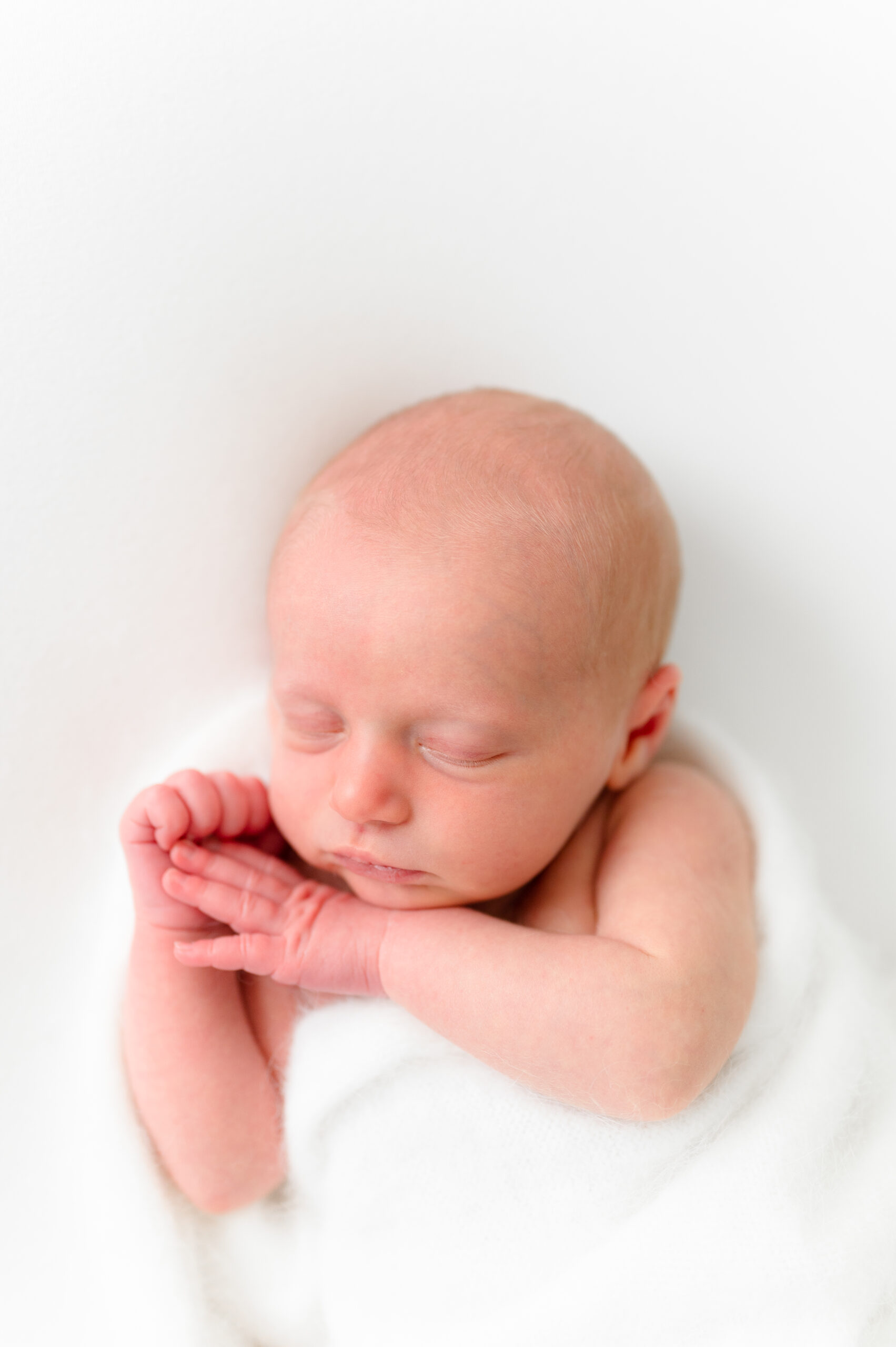 geposeerde newbornshoot Westdorpe